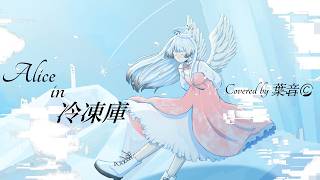Alice in 冷凍庫 - Orangestar / 葉音© 【Cover】