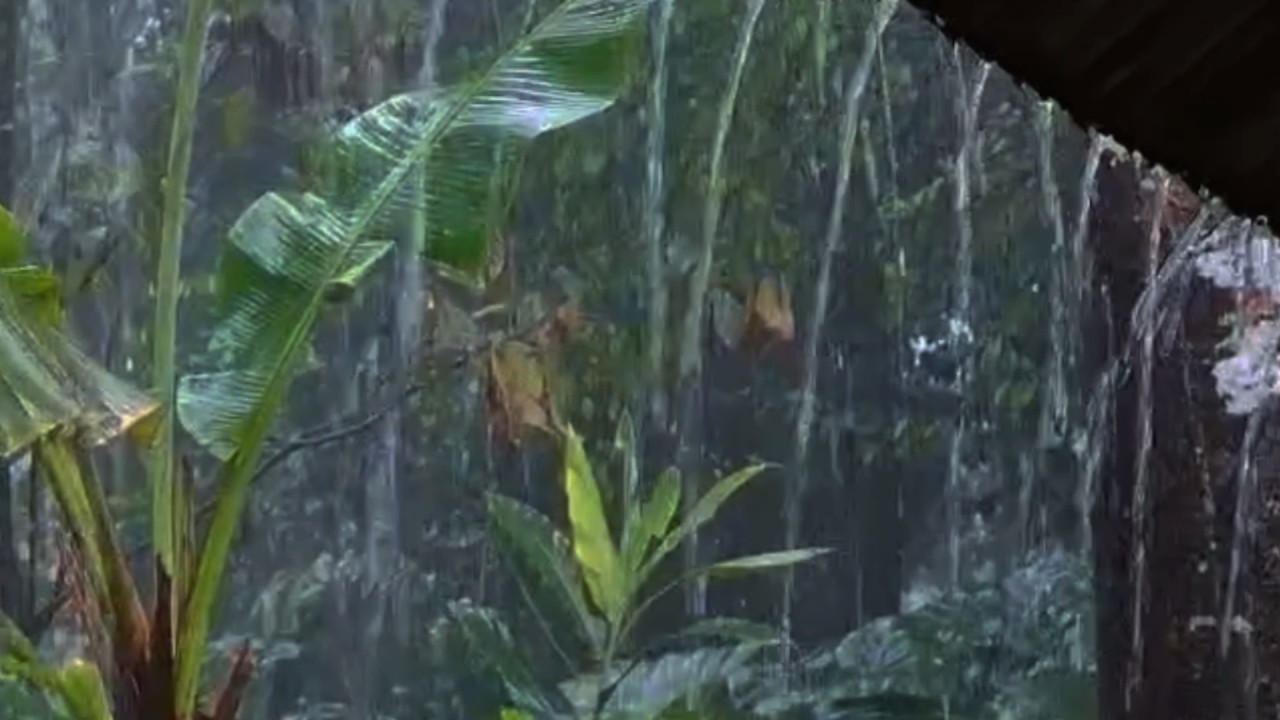 Сверхсильные звуки дождя 🌧️ Быстро засыпайте | Невероятно громкий шум дождя