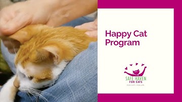 SAFE Haven for Cats - Happy Cat Program