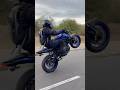 Yamaha MT 07 Sound Aggressive Black Widow Fail Wheelieрџ Ґрџ Ё Mt07 Yamaha Motorcycle Shorts Yamaha MT 07 Sound Aggressive Black Widow Fail Wheelieрџ Ґрџ Ё Mt07 Yamaha Motorcycle Shorts