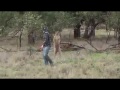 Man punches a kangaroo the face