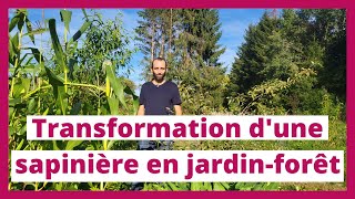 Créer un jardin-forêt à partir d'une ancienne sapinière | PermaZoom