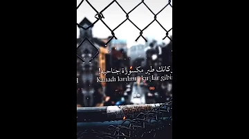 اغنيه تركيه لقد سمعت انك بدوني 