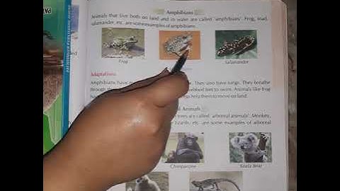 October Class IV science chapter 8 part 2 1589820256904