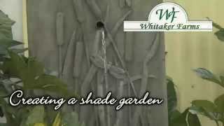 Whitaker Farms--Creating a Shade Garden