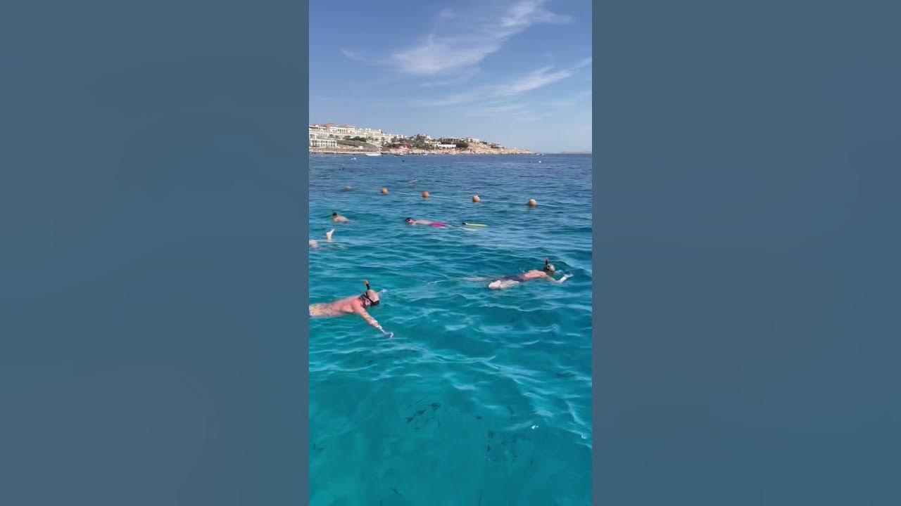 Египет красное море тиран Айленд 4 звезд