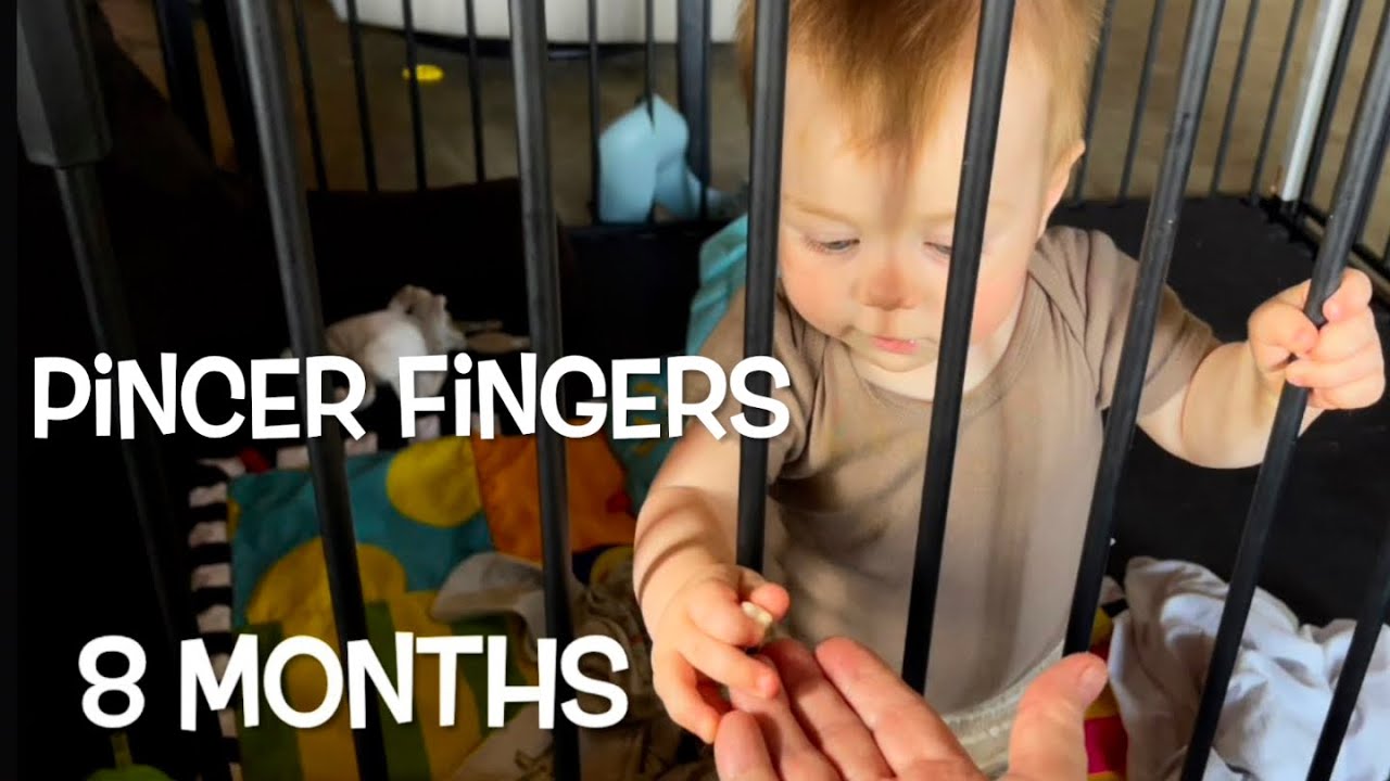 8 Month Pincer Fingers YouTube
