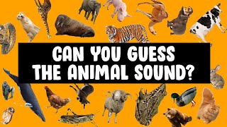 Can You Guess The Animal Sound? Guess the animal sound game