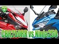 Ninja250 vs CBR250RRどっちが速いの??ガチンコ比較 @ スパ西浦