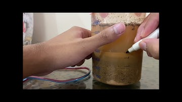 Experiment 2: Soil texture by Jar method.