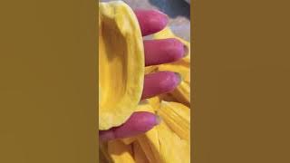 SWEET &CRUCHY LANGKA #shorts #langka #jackfruit #tropicalfruit