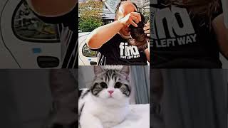 How ... ??? #funny #dance #meme #cat
