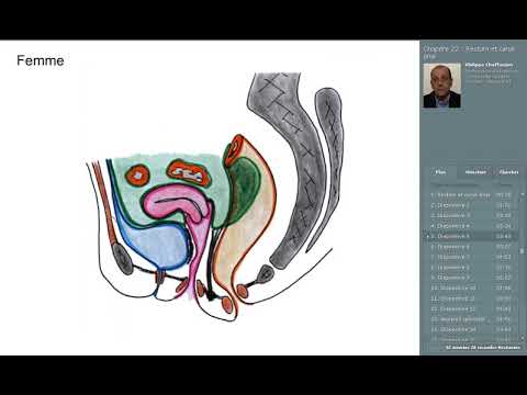 2-rectum et canal anal