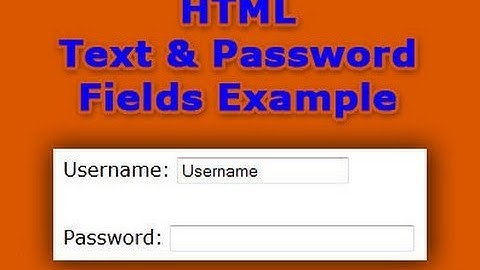 How To Create Text and Password Fields In HTML