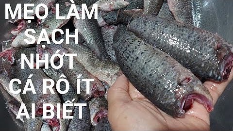 Cách Làm Sạch Nhớt Khi Mần Cá Rô Đầu Mùa Chỉ 1 Mẹo nhỏ Bao Sạch/Mẹo Hay #  Thúy Long An Vlog