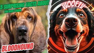 5 Surprising Facts About  Bloodhound You Didn't Know