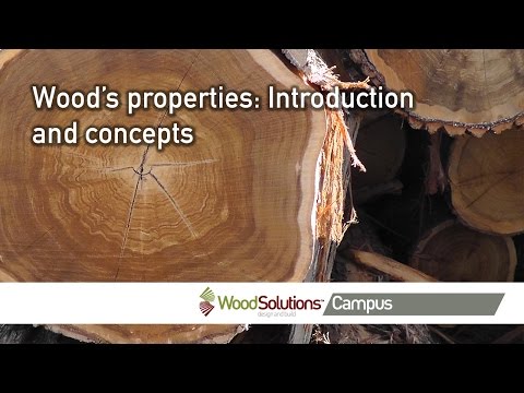 Video: Meaning of wood, composition, properties, features and structure. Wood - what is it?