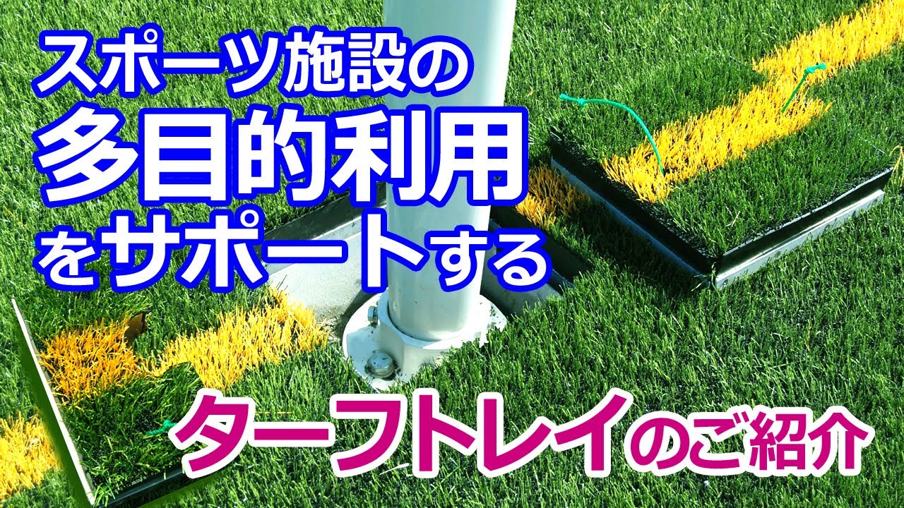 霊芝 Amazon.co.jp: ホーザン(HOZAN) ダイスヘッド 適応スポーク:#14