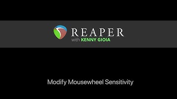 Modify Mousewheel Sensitivity in REAPER