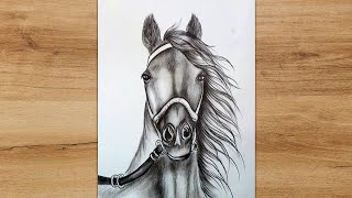 How to Draw a Horse Face with Pencil | Animal Drawing Step by Step