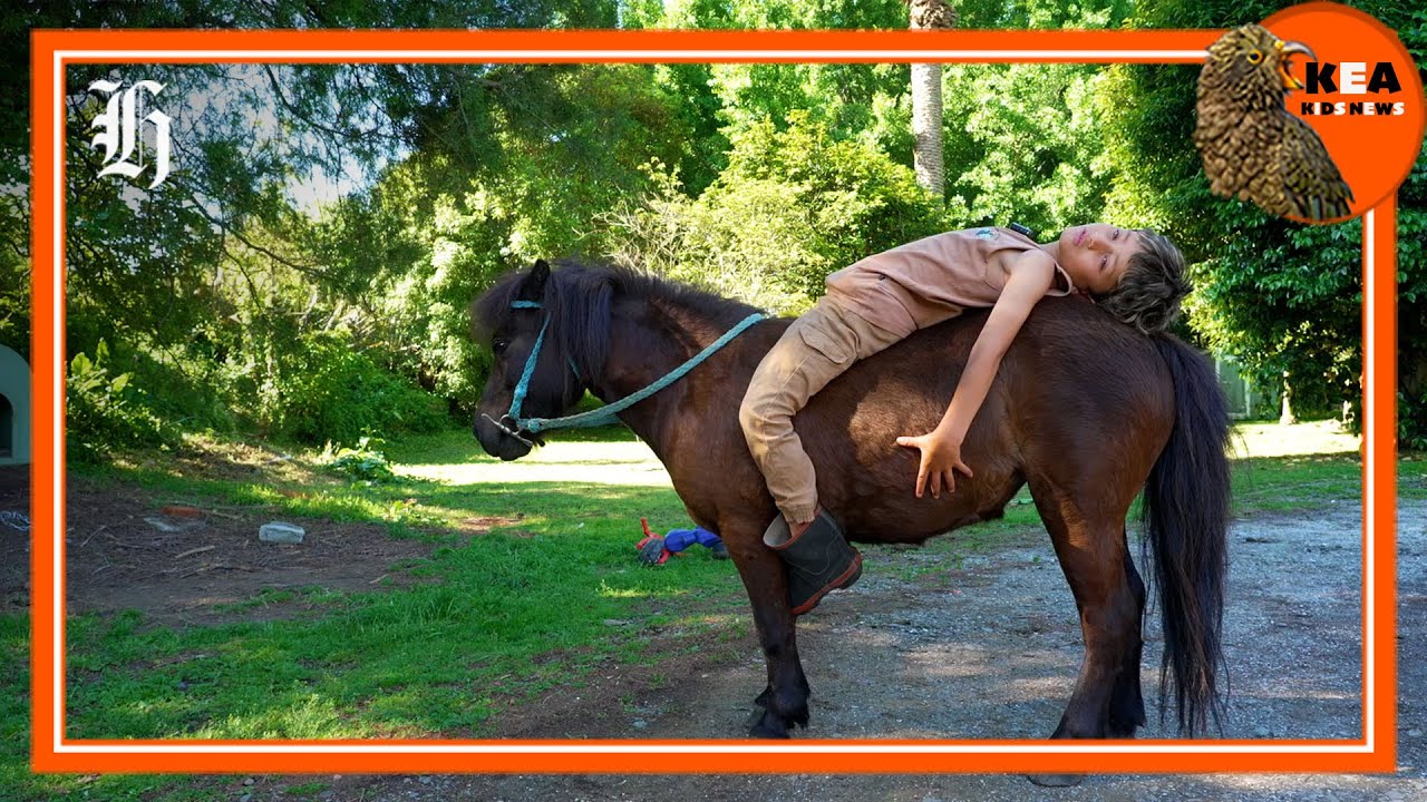 Kea Kids News: No shoes, no saddle, no limits: seven-year-old rides bareback toward big dreams