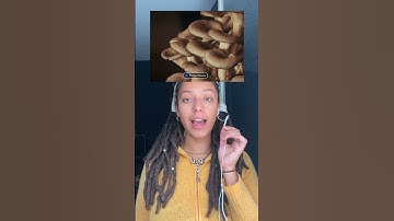 A Synth Powered by Plants 🌱