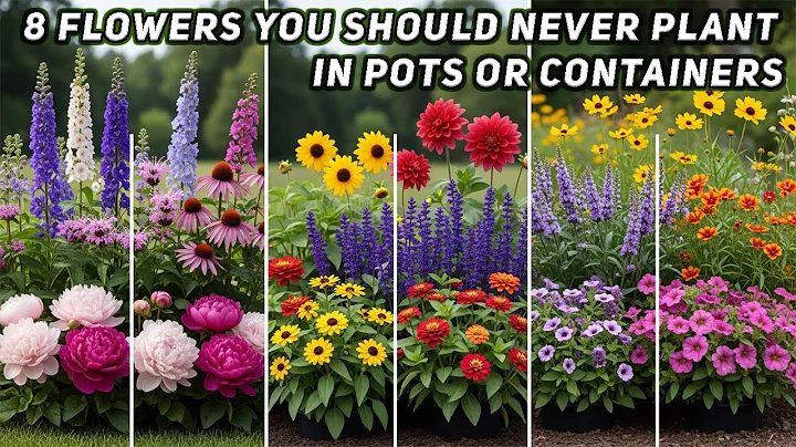 8 Flowers You Should Never Plant in Pots or Containers| Gardening Tips thumbnail
