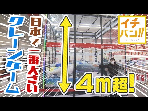 【イチバン!!】高さ４ｍ超！日本最大のクレーンゲームが北海道に　大人もドはまりする魅力とは？