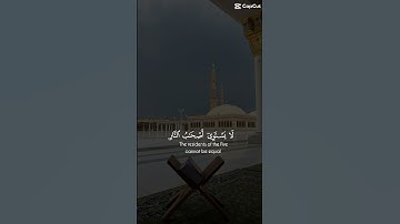 سورة الحشر ياسر الدوسري #ياسر_الدوسري #اكسبلور #ياسرالدوسري #القرآن_الكريم #قرآن #قران_كريم