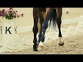 Dusk Till Dawn - Equestrian Music Video