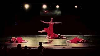 Note Nella Notte - Nature Experience