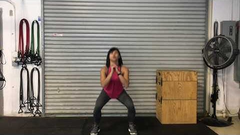 Double Pulse Squats