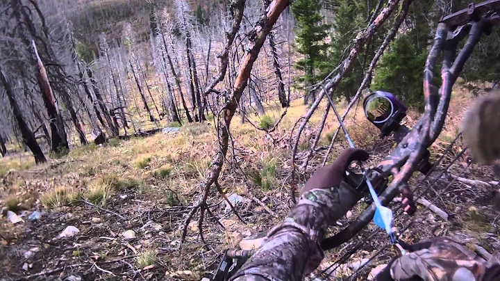 2014 Idaho Archery Elk