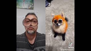 SSSniperwolf (Hello My Name Is Suzie) Reaction of my dad (tiktok)