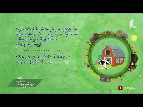 ცხოველის სამეურნეო გამოყენების ხანგძლივობა