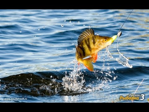 Русская рыбалка 3 Как начать играть