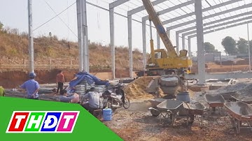 Bình Phước: Đứt móc cáp cần cẩu, 2 người chết 1 người bị thương | THDT