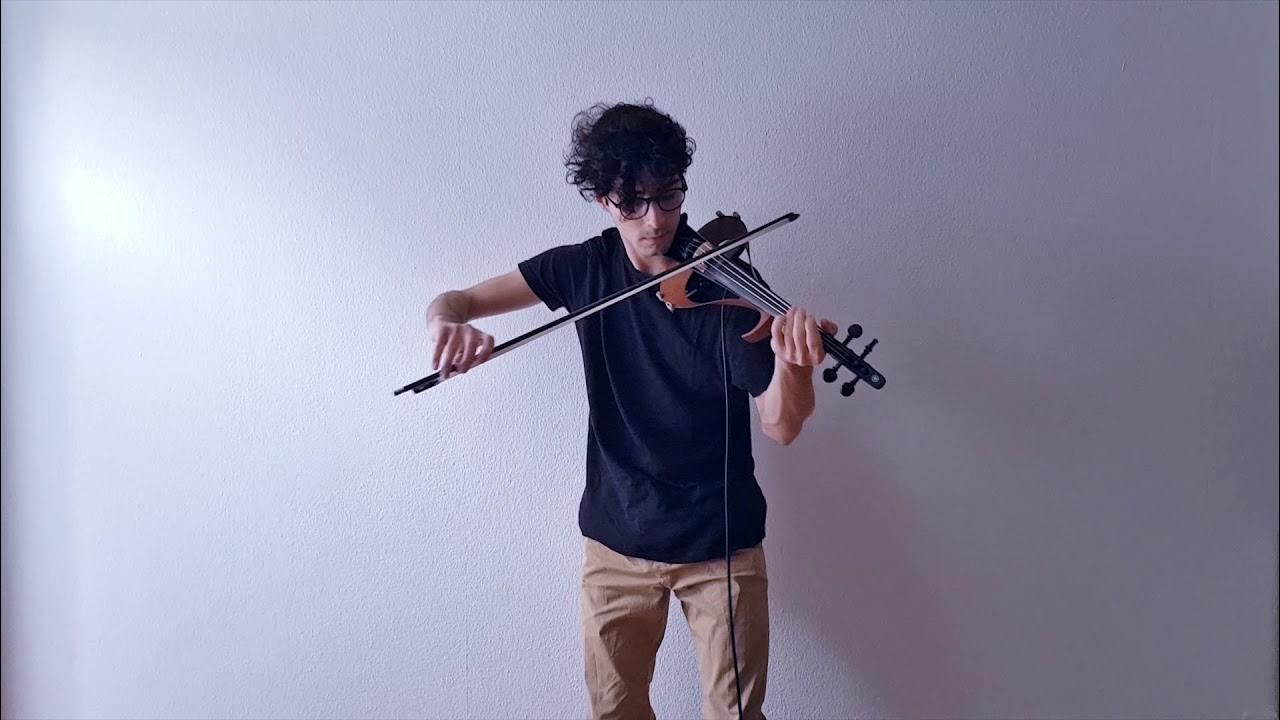 David Fernandes - Soon May The Wellerman Come - Violin Cover David Fernandes - Soon May The Wellerman Come - Violin Cover