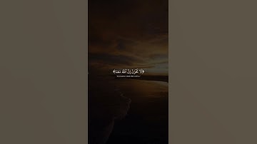 تـلاوة | عـبـدالـرحمن مـسعد |#تلاوة_هادئة#تلاوة_مميزة#تلاوة_خاشعة#قرآن#عبدالرحمن_مسعد#القرآن_الكريم|