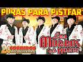🍺 Mix Pa' Pistear: Los Morros del Norte - Puros Corridos Chingones (Éxitos Inolvidables) 🌪️
