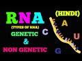 TYPES OF RNA (EASY WAY) ( HINDI)