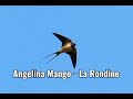 Angelina Mango - La Rondine