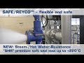 Safe  reyco safety relief valves