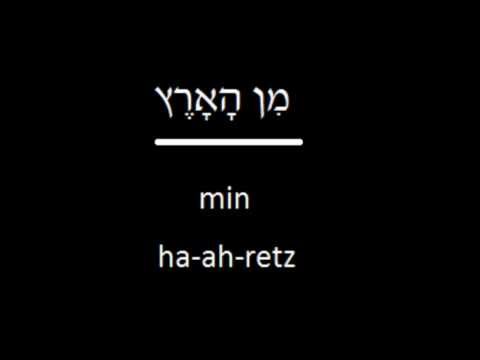 וִידֵאוֹ: מנהל טריטוריאלי: מאפייני המקצוע