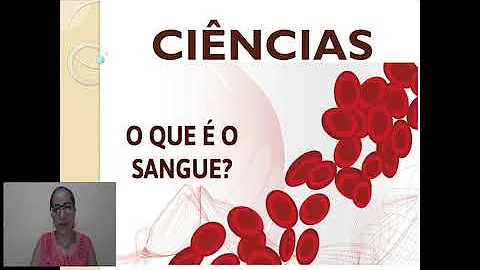 O que forma o sangue 5º ano?