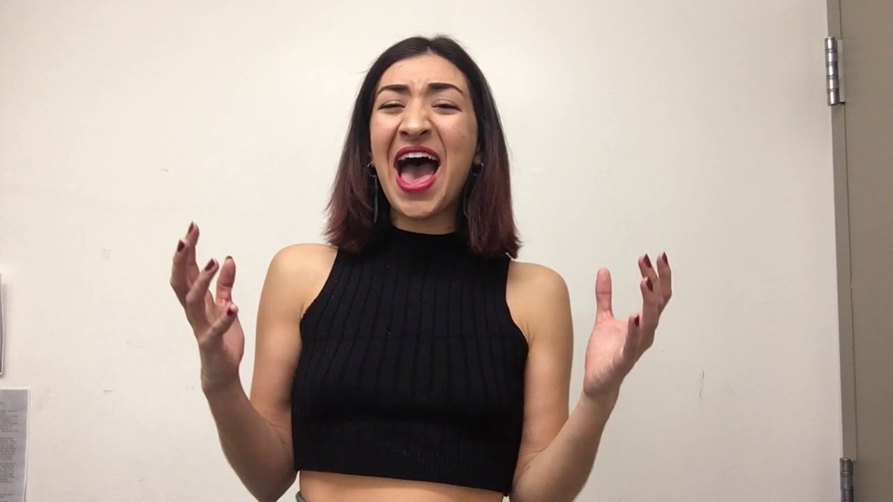 HAMILTON audition YouTube