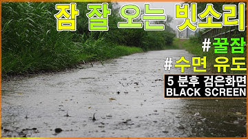 빠르게 잠드는 잠 잘 오는 빗소리 | 5분후 검은화면 | 수면유도 부드러운 빗소리