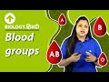 Blood groups | Hindi | Biology