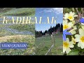 KADIRALAK YAYLASI. YILDIZ ÇİÇEKLERİNDEN BİR CENNET..KADIRALAK PLATEAU. A HEAVEN OF DAH FLOWERS..