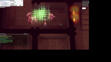 Ragnarok Wizard Minorous Farming